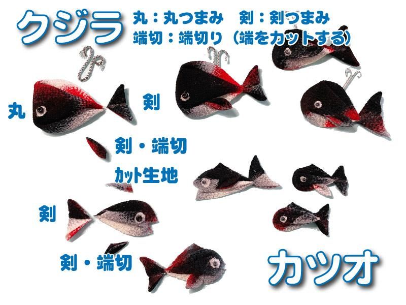 カツオ・鰹の簡単な説明