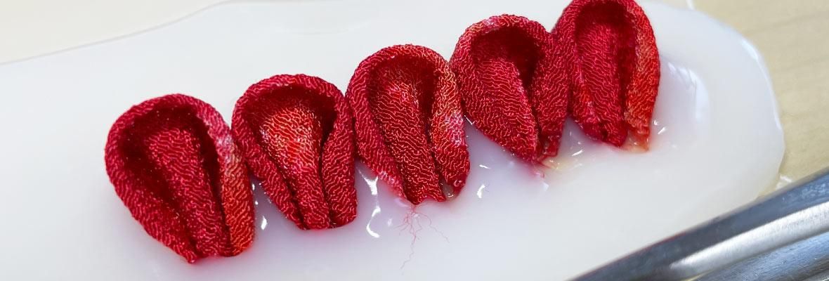 でんぷん糊に花びらを置く