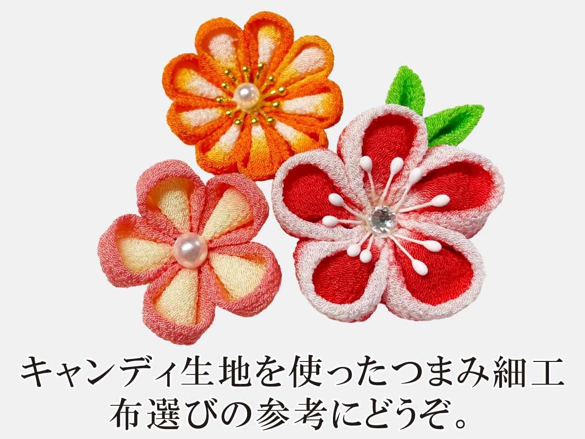 キャンディ生地でこんなお花がつくれます。
