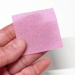 ԥ󥻥åȤۤޤʤͻҡʴݤĤޤߤκǽι