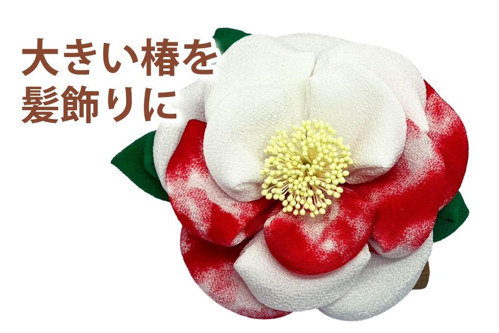 ϥ꡼ϤȰ̵Ϥ礭äͼ˥ԥåؤ