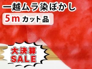 <img class='new_mark_img1' src='https://img.shop-pro.jp/img/new/icons16.gif' style='border:none;display:inline;margin:0px;padding:0px;width:auto;' />GPW5-01 ڴָ۷軻SALEʰW5åʡ