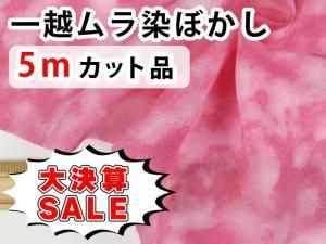 <img class='new_mark_img1' src='https://img.shop-pro.jp/img/new/icons16.gif' style='border:none;display:inline;margin:0px;padding:0px;width:auto;' />GPW5-02 ڴָ۷軻SALEʰW5åʡ