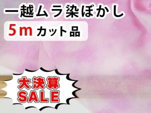 <img class='new_mark_img1' src='https://img.shop-pro.jp/img/new/icons16.gif' style='border:none;display:inline;margin:0px;padding:0px;width:auto;' />GPW5-03 ڴָ۷軻SALEʰW5åʡ