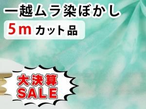 <img class='new_mark_img1' src='https://img.shop-pro.jp/img/new/icons16.gif' style='border:none;display:inline;margin:0px;padding:0px;width:auto;' />GPW5-05 ڴָ۷軻SALEʰW5åʡ