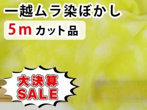 <img class='new_mark_img1' src='https://img.shop-pro.jp/img/new/icons16.gif' style='border:none;display:inline;margin:0px;padding:0px;width:auto;' />GPW5-07 ڴָ۷軻SALEʰW5åʡ