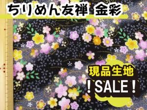 <img class='new_mark_img1' src='https://img.shop-pro.jp/img/new/icons16.gif' style='border:none;display:inline;margin:0px;padding:0px;width:auto;' />GPK5-09 SALEʤ̡ͧ5åʡ