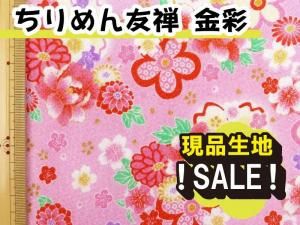 <img class='new_mark_img1' src='https://img.shop-pro.jp/img/new/icons16.gif' style='border:none;display:inline;margin:0px;padding:0px;width:auto;' />GPK5-10 SALEʤ̡ͧ5åʡ