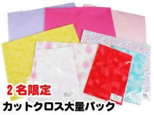 <img class='new_mark_img1' src='https://img.shop-pro.jp/img/new/icons1.gif' style='border:none;display:inline;margin:0px;padding:0px;width:auto;' />GP-1402̾åȥ ѥå