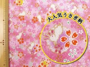 <img class='new_mark_img1' src='https://img.shop-pro.jp/img/new/icons16.gif' style='border:none;display:inline;margin:0px;padding:0px;width:auto;' />ָSALEK-142F ̡ͧؤԥ󥯡