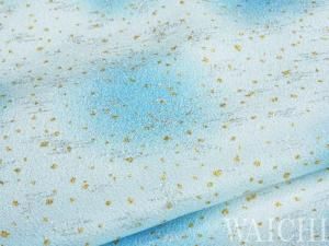 <img class='new_mark_img1' src='https://img.shop-pro.jp/img/new/icons1.gif' style='border:none;display:inline;margin:0px;padding:0px;width:auto;' />W-24A ��� ����� �忧