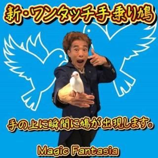 <img class='new_mark_img1' src='https://img.shop-pro.jp/img/new/icons15.gif' style='border:none;display:inline;margin:0px;padding:0px;width:auto;' />󥿥åȷ