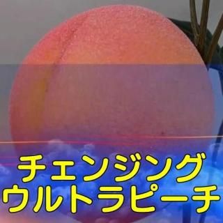 <img class='new_mark_img1' src='https://img.shop-pro.jp/img/new/icons15.gif' style='border:none;display:inline;margin:0px;padding:0px;width:auto;' />󥸥󥰥ȥԡ (ʲ)