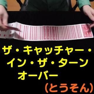 <img class='new_mark_img1' src='https://img.shop-pro.jp/img/new/icons15.gif' style='border:none;display:inline;margin:0px;padding:0px;width:auto;' />å㡼󡦥󥪡С (ʡ֡Ȥ)
