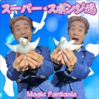 <img class='new_mark_img1' src='https://img.shop-pro.jp/img/new/icons15.gif' style='border:none;display:inline;margin:0px;padding:0px;width:auto;' />ѡݥȷ