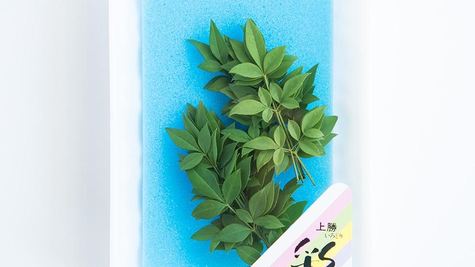 料理に添える飾り葉 南天 （小）を販売 五色.com