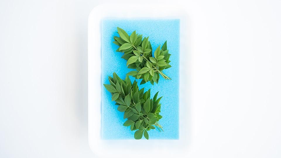 料理に添える飾り葉 南天 （小）を販売 五色.com