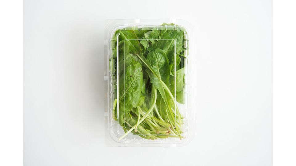 蒲公英の葉 たんぽぽのは 12cm前後 公式サイト 料理あしらい専門店 五色 Com 蒲公英の葉 たんぽぽのは 12cm前後 公式サイト 料理あしらい専門店 五色 Com