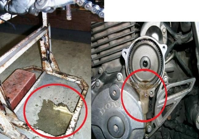 TWR PRODUCTS CB223S MC40 純正キャブレター 専用 強化セット(AI