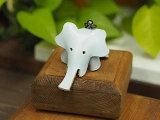 ܳסۤҤäѤ륾Υ㡼