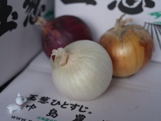 2022夏季限定 3色玉葱セット - 玉葱ひとすじ。中島農園