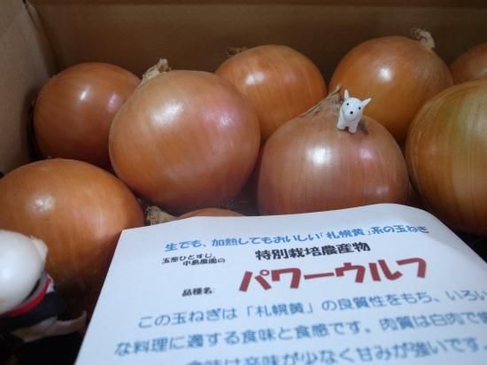 生でも 加熱してもおいしい 特別栽培農産物 札幌黄 系玉葱 パワーウルフ 5キロ 玉葱ひとすじ 中島農園 生でも 加熱してもおいしい 特別栽培農産物 札幌黄 系玉葱 パワーウルフ 5キロ 玉葱ひとすじ 中島農園