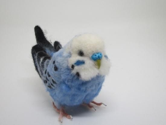 羊毛フェルト リアルで可愛いセキセイインコ 鳥 ゆこりん工房 ハンドメイド雑貨専門店 ゆこりん工房 羊毛フェルト リアルで可愛いセキセイインコ 鳥 ゆこりん工房 ハンドメイド雑貨専門店 ゆこりん工房
