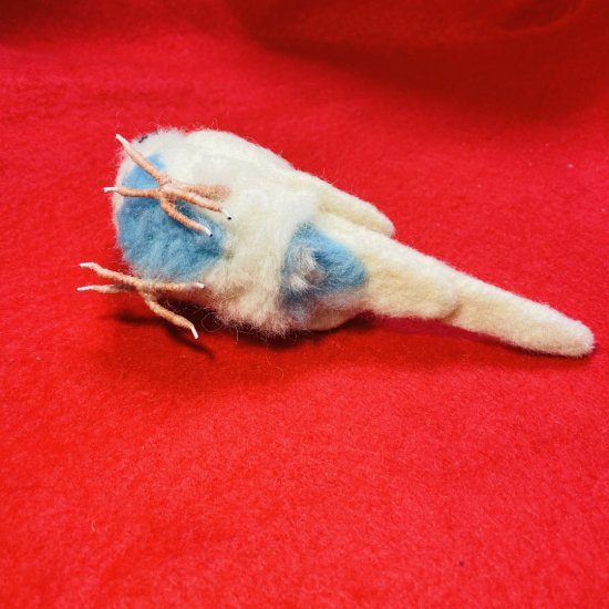 羊毛フェルト リアル可愛いセキセイインコ フィギュア 鳥 ゆこりん工房 ハルクイン水色 - ハンドメイド雑貨専門店 ゆこりん工房