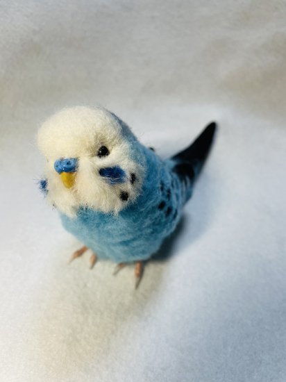 羊毛フェルト　鳥　インコ　セキセイインコ　ハンドメイド