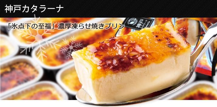 ͥ顼