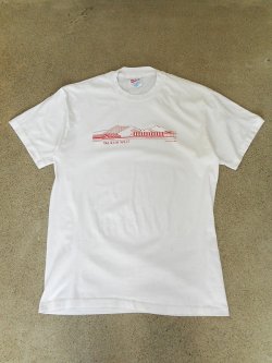 80’s Frank Lloyd Wright T-shirt