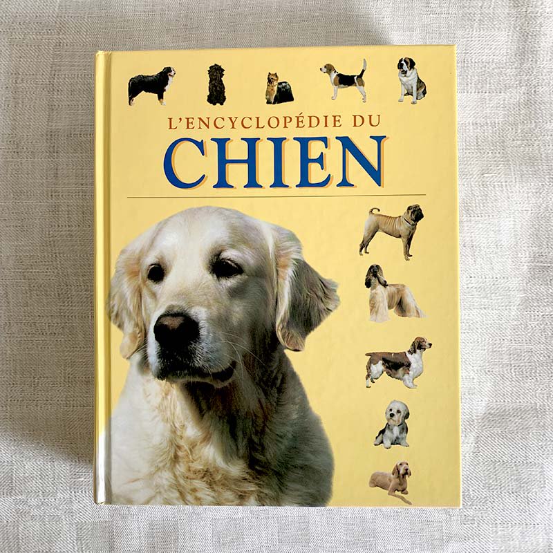 フランス古本 犬の百科事典 大型図書 ‐soracoya(空小屋）