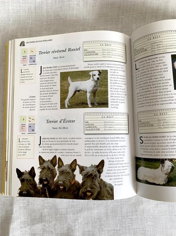 フランス古本 犬の百科事典 大型図書 ‐soracoya(空小屋）