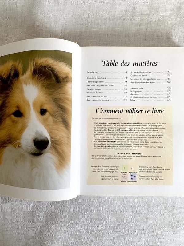 フランス古本 犬の百科事典 大型図書 ‐soracoya(空小屋）