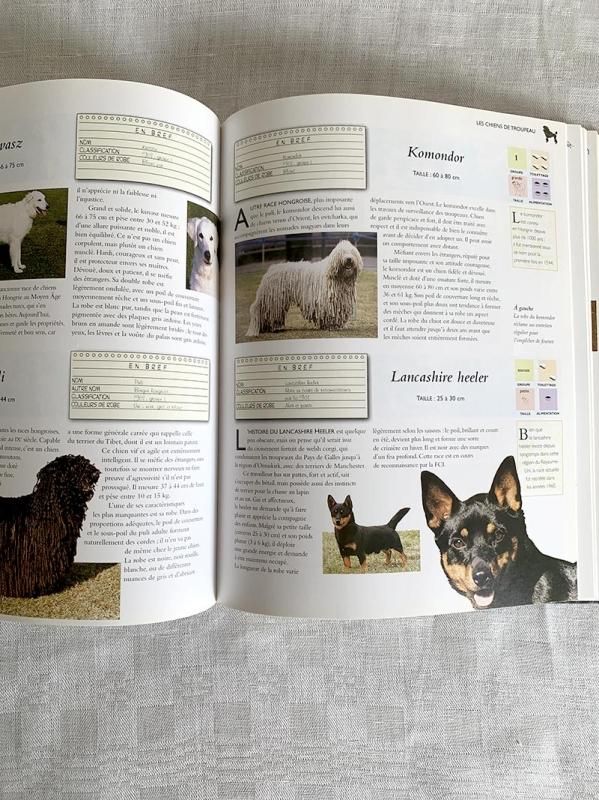 フランス古本 犬の百科事典 大型図書 ‐soracoya(空小屋）