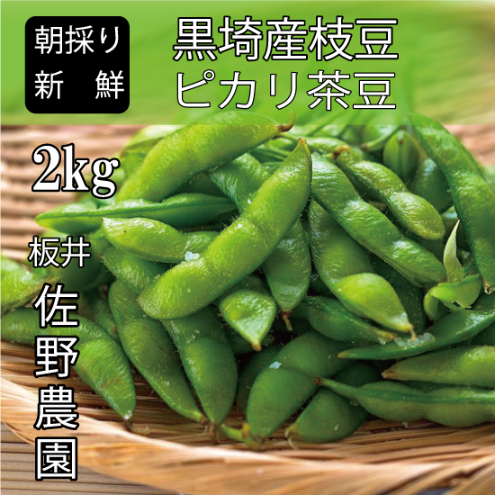 送料込】 新潟市黒埼産 佐野農園の朝採り枝豆（ぴかり茶豆）2kg | 新潟ふるさと村オンラインショップ