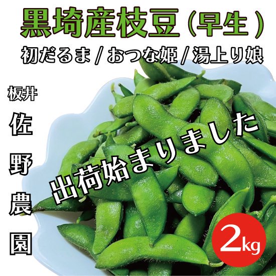 送料込】 新潟市黒埼産(早生茶豆)佐野農園の朝採り枝豆 2kg | 新潟ふるさと村オンラインショップ