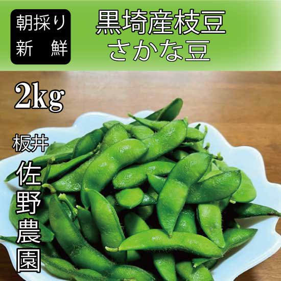 送料込】 新潟市黒埼産（さかな豆）佐野農園の朝採り枝豆 2kg 冷蔵 | 新潟ふるさと村オンラインショップ