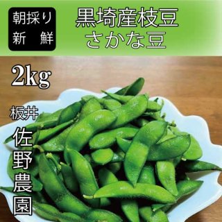 【送料込】 新潟市黒埼産（さかな豆）佐野農園の朝採り枝豆 2kg　冷蔵