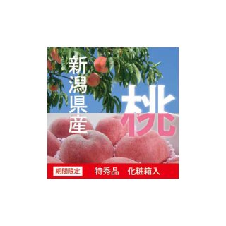 【8月4日まで限定販売】新潟県白根産 もも 特秀品「一糖賞」 糖度13.5度以上