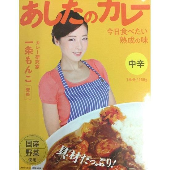 激安通販の カレー・スパイス研究家 一条もんこ監修】あしたのカレー 中辛 調味料・料理の素・油