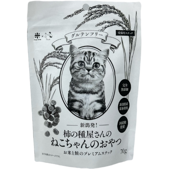 ڥåȥաɡۿȯμﲰΤͤΤġƤȺΥץߥॹʥå