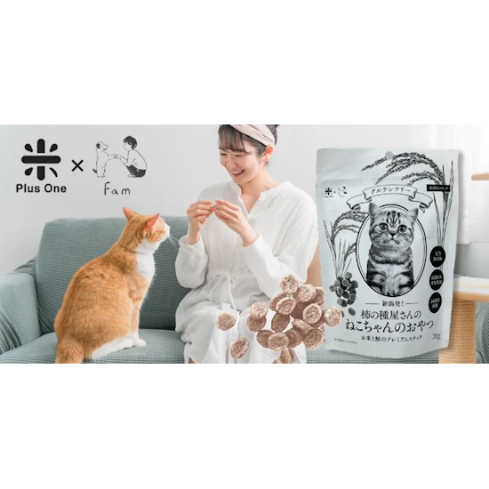 ڥåȥաɡۿȯμﲰΤͤΤġƤȺΥץߥॹʥå