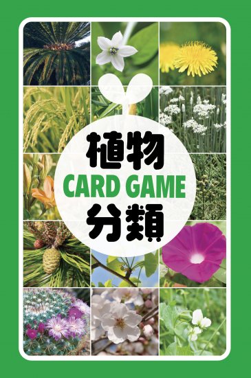 植物分類カード - テラコヤキッズ オンラインショップ｜遊びながら勉強が出来るカルタやトランプ・カードゲームの教材通販