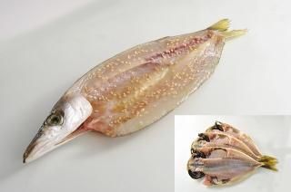 磻󹥤ؤ£ʪˡޤΤ̣2ˡܥΤ礦̣2˥å