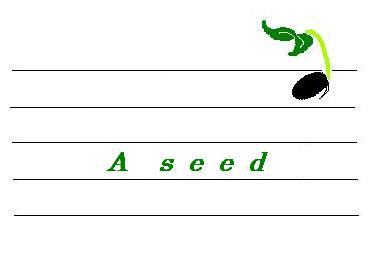 a-seed-mall