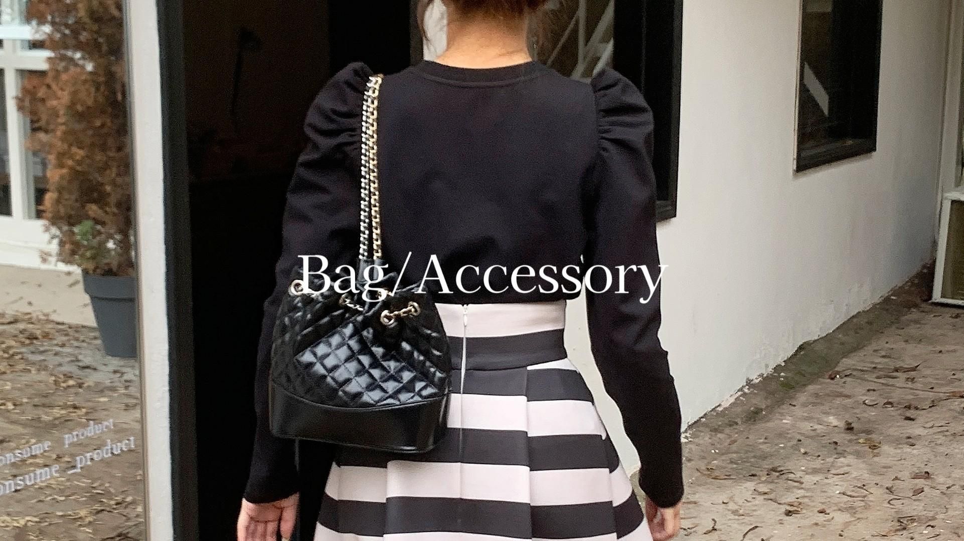 Bag/Accessory