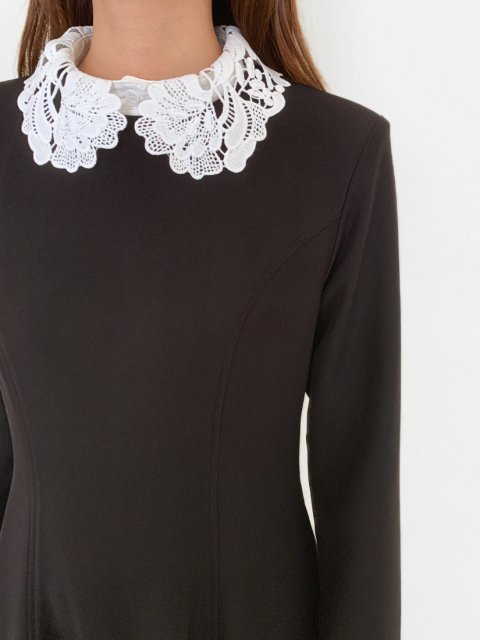 2WAY LACE COLLAR A LINE DRESS