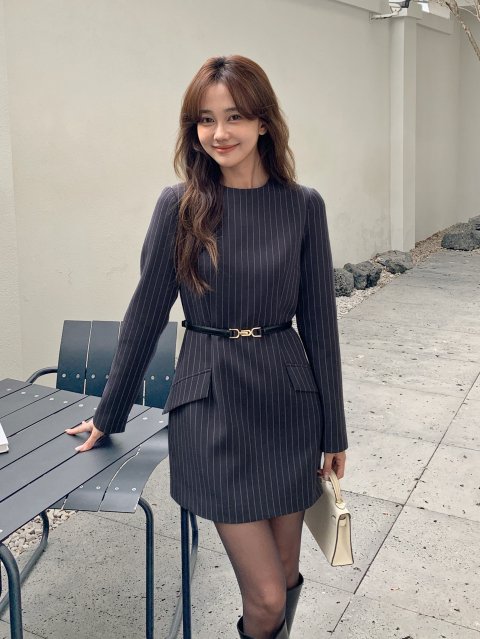 PEN STRIPE SLEEVE ZIPPER DRESS