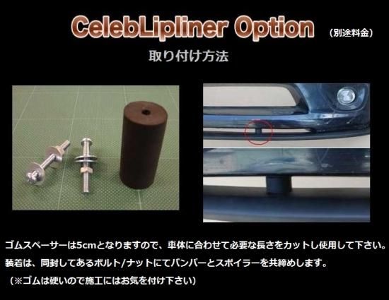 BH5 BE5 レガシィ STAGE21 カーボンリップスポイラー レガシィワゴン/B4】 BP5・H18/5～H21/4 用 エアロフロント